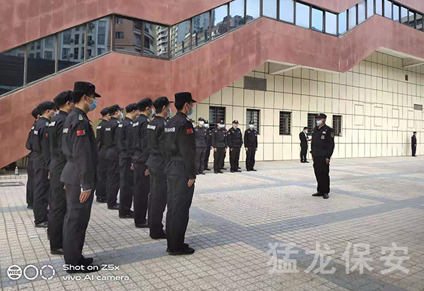 正規91视频观看免费