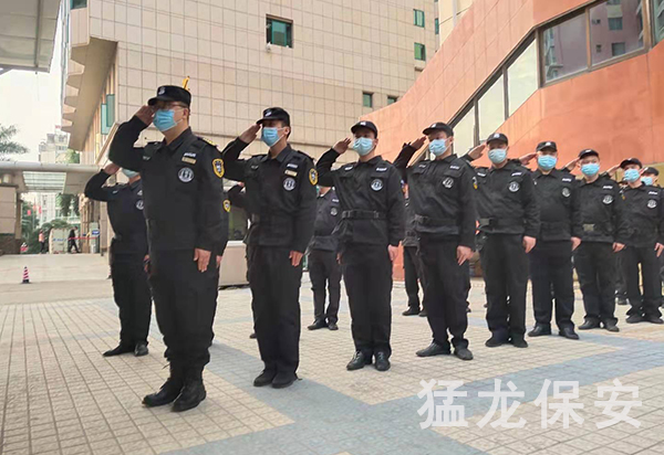 91视频观看免费