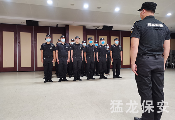 91视频APP免费下载污